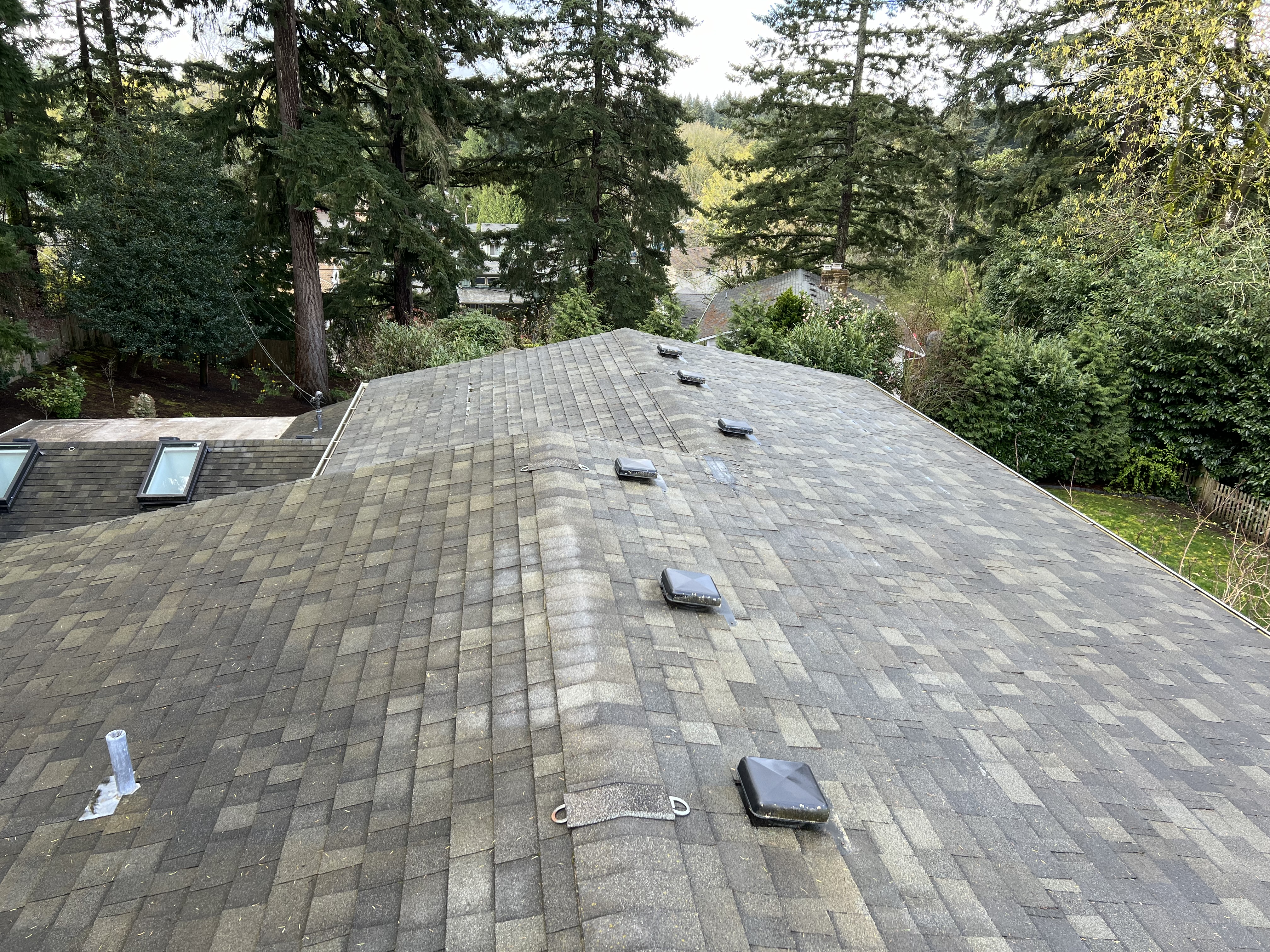 Top Quality Roof Cleaning in Kirkland Thumbnail